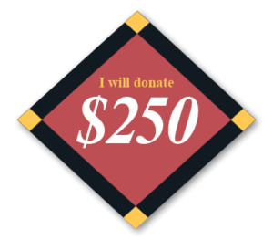I will donate $250