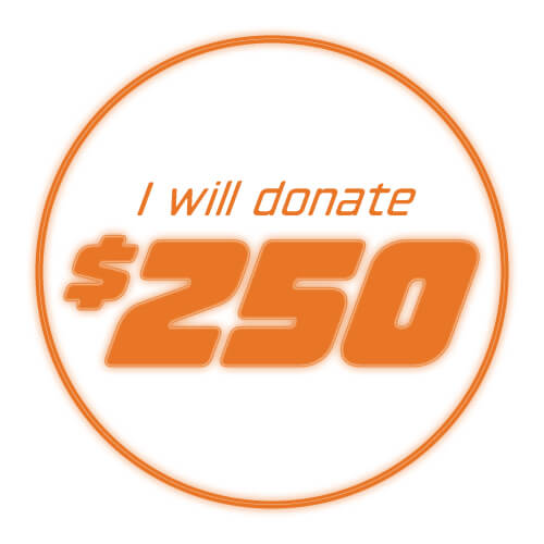 I will donate $250